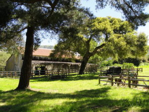 carmel valley ranch