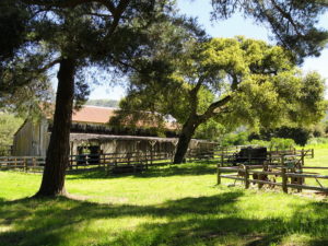 carmel valley ranch