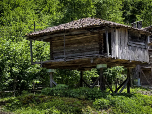 cabane perchée