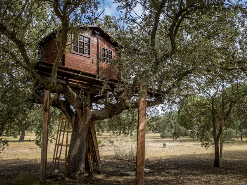 cabane perchée